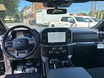 New 2025 Ford F-150 XLT SuperCrew Cab 4WD Pickup for sale #T25147 - photo 34