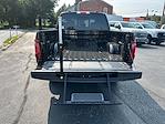 New 2025 Ford F-150 XLT SuperCrew Cab 4WD Pickup for sale #T25148 - photo 42