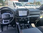 2025 Ford F-150 SuperCrew Cab 4WD Pickup for sale #T25161 - photo 36