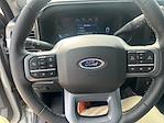 2025 Ford F-250 Crew Cab 4WD Pickup for sale #T25211 - photo 24