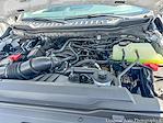 2024 Ford F-250 Regular Cab 4x4 Pickup for sale #X00139 - photo 14