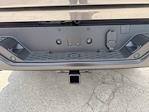 2025 Ram 1500 Crew Cab 4x4 Pickup for sale #D5502 - photo 10
