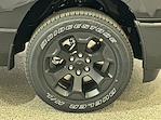2025 Ram 1500 Crew Cab 4WD Pickup for sale #D16154 - photo 10