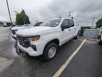 2024 Chevrolet Silverado 1500 Crew Cab 4WD Pickup for sale #M36816 - photo 1