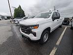 2024 Chevrolet Silverado 1500 Crew Cab 4WD Pickup for sale #M37095 - photo 1