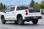 2024 Chevrolet Silverado 1500 Crew Cab 4WD Pickup for sale #C3795GX - photo 6