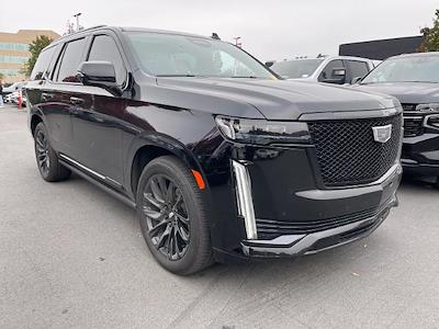 2024 Cadillac Escalade 4WD SUV for sale #C49559CT - photo 1