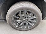 2024 Cadillac Escalade 4WD SUV for sale #C49559CT - photo 3