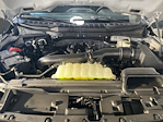 New 2026 Ford F-150 XLT SuperCrew Cab for sale #K126225N - photo 13