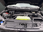 2026 Ford F-150 SuperCrew Cab 4WD Pickup for sale #K126257N - photo 41