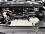 Used 2025 Ford F-150 XLT SuperCrew Cab for sale #K126270BB - photo 41