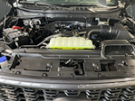2026 Ford F-150 SuperCrew Cab 4WD Pickup for sale #K126295N - photo 35