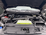 New 2026 Ford F-150 XLT SuperCrew Cab for sale #K126298N - photo 39