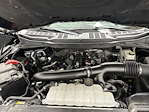 2025 Ford F-150 SuperCrew Cab 4WD Pickup for sale #K126355C - photo 36