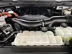 2023 Ford F-150 SuperCrew Cab 4WD Pickup for sale #K126501BB - photo 43