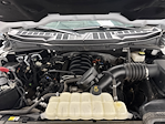 2024 Ford F-150 SuperCrew Cab 4WD Pickup for sale #K126568C - photo 41