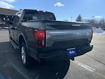 Used 2018 Ford F-150 Platinum SuperCrew Cab for sale #K126594T - photo 10