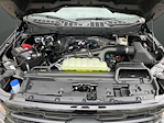 New 2025 Ford F-150 XLT SuperCrew Cab for sale #K126610N - photo 46