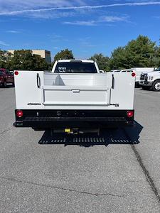 2025 Ford F-450 Crew Cab DRW 4x4 Cab Chassis for sale #258211F - photo 2