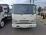 2025 Chevrolet LCF 5500HG Regular Cab RWD Cab Chassis for sale #TF23071 - photo 2