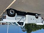 New 2023 Chevrolet Silverado 5500 Regular Cab Knapheide 6132D54H46 Service Truck for sale #TR91039 - photo 1