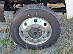 2024 Chevrolet Silverado 5500 Regular Cab DRW 4WD Cab Chassis for sale #TR91059 - photo 6