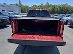2024 Ford F-250 Crew Cab 4WD Pickup for sale #P8504 - photo 3