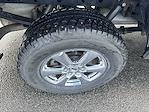 2019 Ford F-150 Super Cab 4WD Pickup for sale #R648A - photo 3