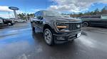 2025 Ford F-150 SuperCrew Cab 4x4 Pickup for sale #S111 - photo 14