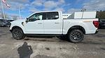 2025 Ford F-150 SuperCrew Cab 4x4 Pickup for sale #S115 - photo 38