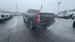 New 2025 Ford F-250 Platinum Crew Cab 4x4 Pickup for sale #S167 - photo 19