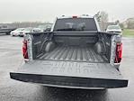 2025 Ford F-150 SuperCrew Cab 4x4 Pickup for sale #S189 - photo 22