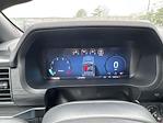 2025 Ford F-150 SuperCrew Cab 4x4 Pickup for sale #S189 - photo 27