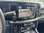 2025 Ford F-350 Crew Cab DRW 4x4 Pickup for sale #S190 - photo 11