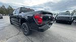 2025 Ford F-150 SuperCrew Cab 4x4 Pickup for sale #S225 - photo 19