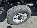2025 Ford F-350 Regular Cab SRW 4x4 Pickup for sale #S240 - photo 3