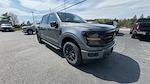 2025 Ford F-150 SuperCrew Cab 4x4 Pickup for sale #S263 - photo 14