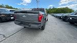 2025 Ford F-150 SuperCrew Cab 4x4 Pickup for sale #S265 - photo 19