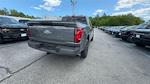 2025 Ford F-150 SuperCrew Cab 4x4 Pickup for sale #S265 - photo 38