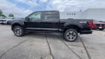 New 2025 Ford F-150 STX SuperCrew Cab 4x4 Pickup for sale #S272 - photo 36