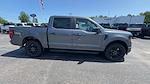 2025 Ford F-150 SuperCrew Cab 4x4 Pickup for sale #S285 - photo 20