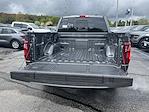 2025 Ford F-150 SuperCrew Cab 4x4 Pickup for sale #S316 - photo 4