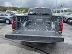 2025 Ford F-150 SuperCrew Cab 4x4 Pickup for sale #S316 - photo 23