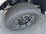 2025 Ford F-350 Crew Cab SRW 4x4 Pickup for sale #S322 - photo 3
