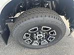 2025 Ford F-350 Crew Cab SRW 4x4 Pickup for sale #S329 - photo 3