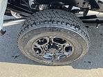 2025 Ford F-350 Crew Cab SRW 4x4 Pickup for sale #S331 - photo 3