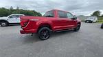 2025 Ford F-150 SuperCrew Cab 4x4 Pickup for sale #S356 - photo 39
