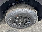 2025 Ford F-150 SuperCrew Cab 4x4 Pickup for sale #S366 - photo 3