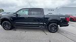 New 2025 Ford F-150 XLT SuperCrew Cab 4x4 Pickup for sale #S385 - photo 17