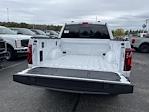 2025 Ford F-150 SuperCrew Cab 4x4 Pickup for sale #S387 - photo 23